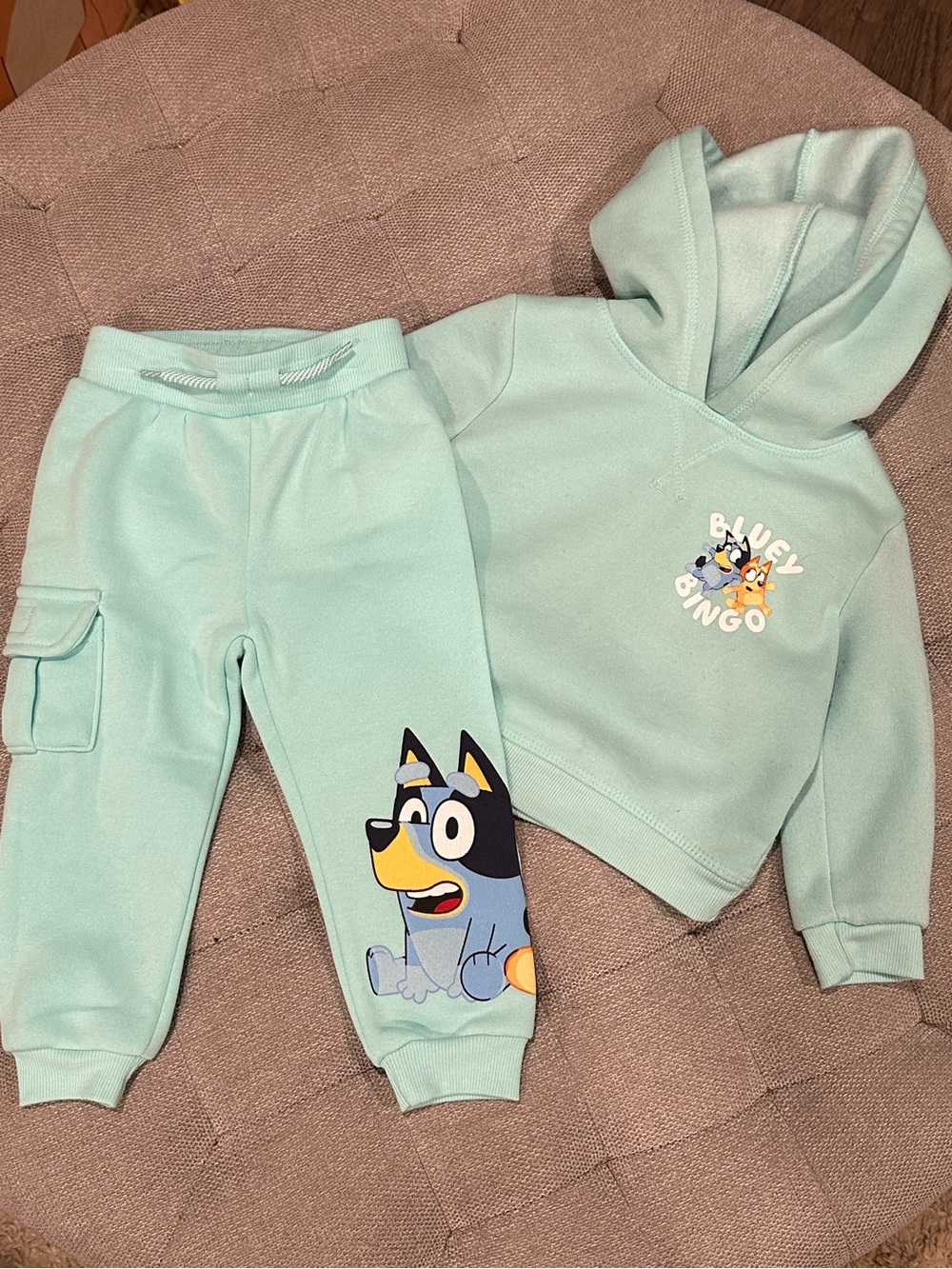 Bluey & Bingo Teal Hoodie and Jogger Set